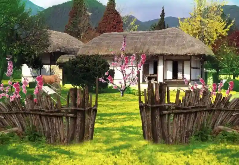 48岁、2个儿子、房车已供完，我想取出公积金离开新加坡回老家